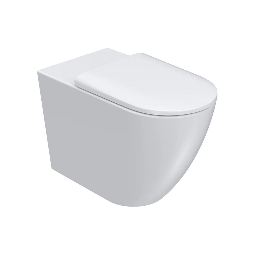 Parisi Ellisse II Ambulant Wall Faced Rimless Pan (Includes Moda Seat) - PN83M
