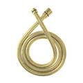 Parisi Hose 3-8 Male Standard Hose - Brushed Brass PVD SP.HO01.46