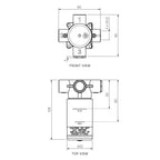 Parisi Stereo In Wall Body for Inline Diverter - SS.04-I