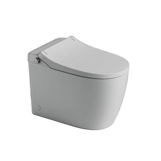 St George Byron Intelligent Toilet Suite - Gloss White ST-ZTT-250