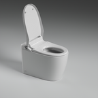 St George Byron Intelligent Toilet Suite - Gloss White ST-ZTT-250