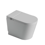 St George Coogee Intelligent Toilet Suite - Gloss White ST-ZTT-450