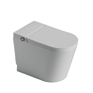St George Coogee Intelligent Toilet Suite - Gloss White ST-ZTT-450