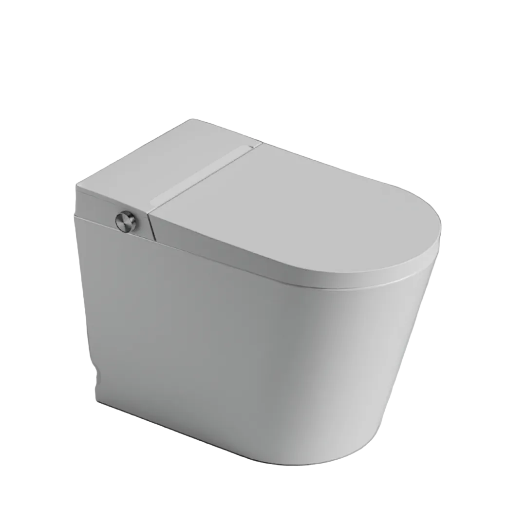 St George Coogee Intelligent Toilet Suite - Gloss White ST-ZTT-450