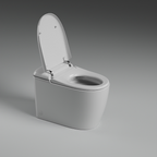 St George Mosman Intelligent Toilet Suite - Gloss White ST-ZTT-500