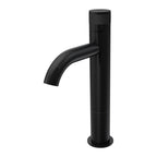 Parisi Todo II Mid Level Basin Mixer with Curved Spout - Matt Black - T2DO.01-1HCH60.02