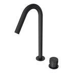 Parisi Todo II Hob Mixer with Gooseneck Swivel Spout - Fucile - T2DO.06-2HSE.50