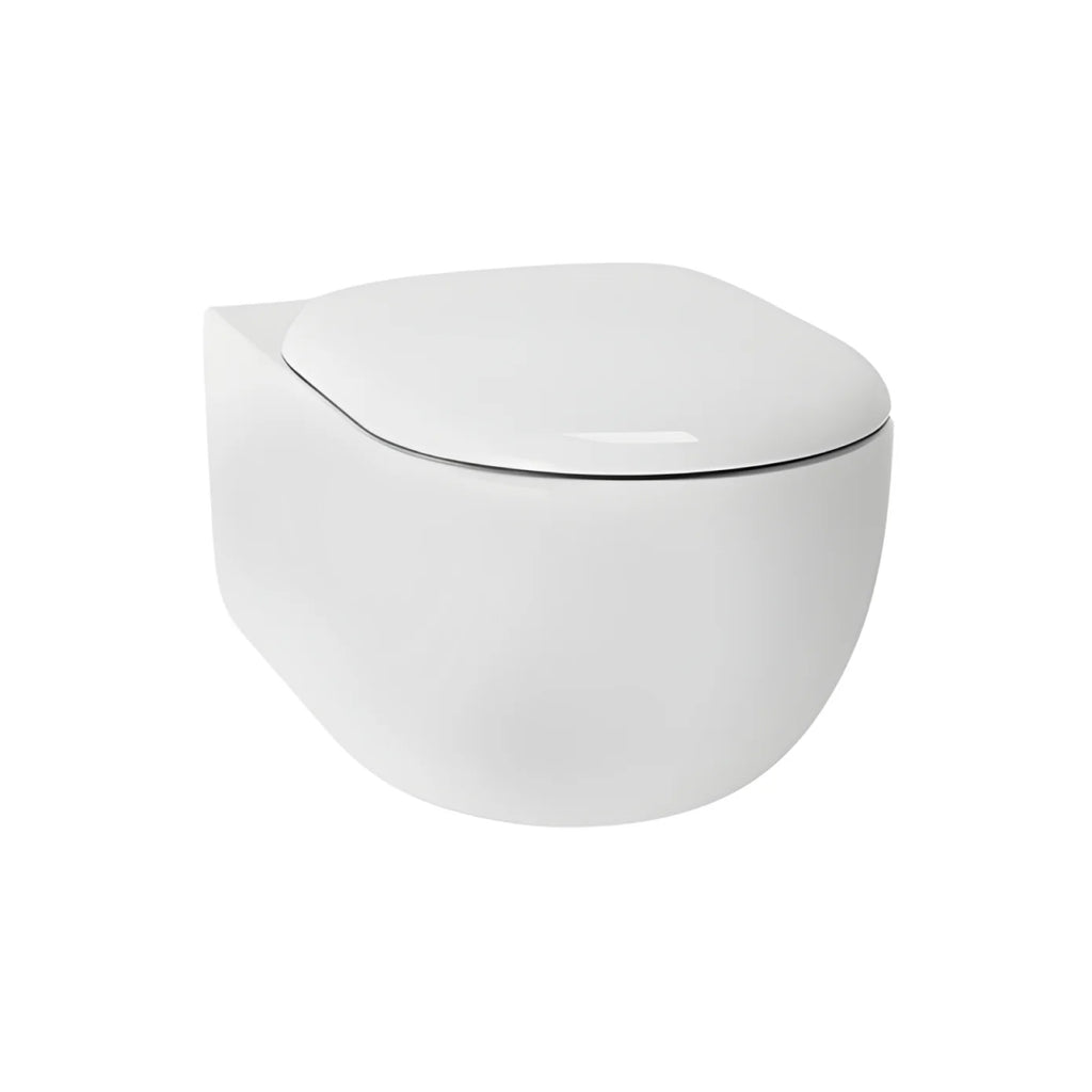 TOTO Hayon D-Shape Wall Hung Toilet - CW253PJT1WS - CW253PJT1WS + TC252SJ