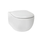 TOTO Hayon D-Shape Wall Hung Toilet - CW253PJT1WS - CW253PJT1WS + TC252SJ