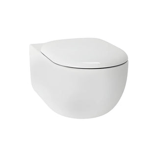 TOTO Hayon D-Shape Wall Hung Toilet - CW253PJT1WS - CW253PJT1WS + TC252SJ