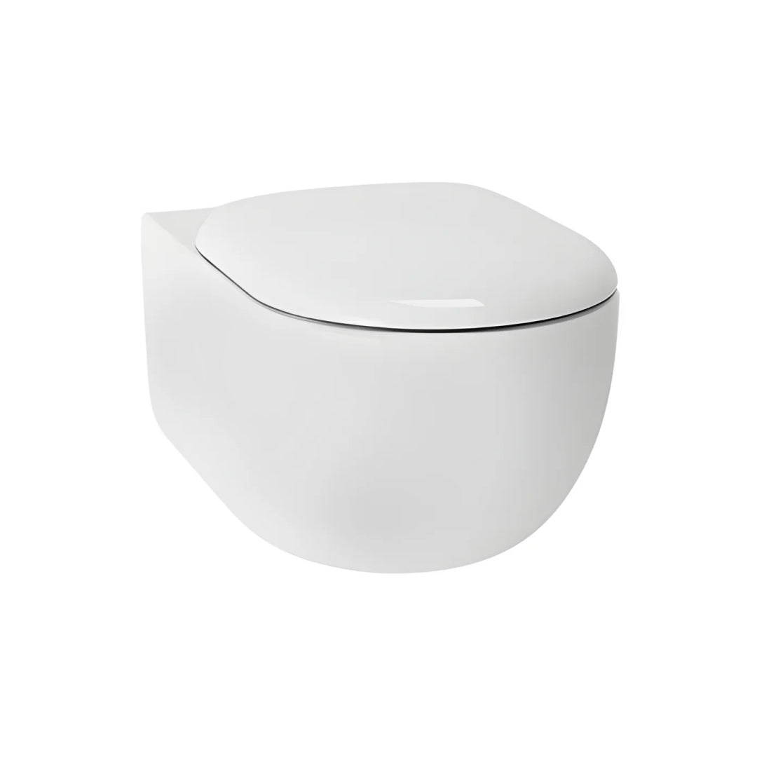 TOTO Hayon D-Shape Wall Hung Toilet - CW253PJT1WS - CW253PJT1WS + TC252SJ