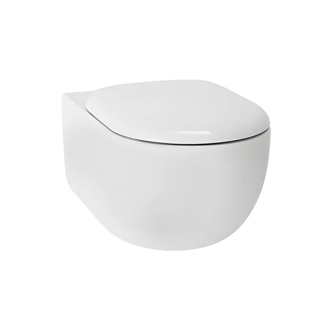 TOTO Hayon D-Shape Wall Hung Toilet - CW253JT1WS
