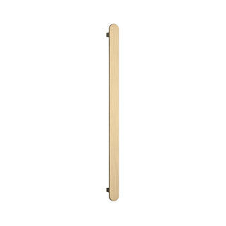 Thermorail 12V Flat/Pill Vertical Bar 900mm - VP900BB Brushed Brass