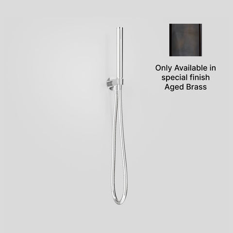 Astra Walker Icon Hand Shower with Wall Mounted Holder - Aged Brass