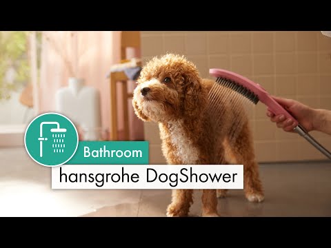 Hansgrohe Dog Hand Shower 150 3 Jet Select - Matte White - 26640700