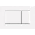 Geberit Sigma 30 Tone In Tone Flush Plate