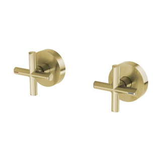 Phoenix Vivid Slimline Plus Wall Top Assemblies brushed gold