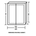 Ledin Essentials Shaving Cabinet- specification