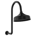 Fienza Lillian Wall Arm Shower Set - Matte Black - 411138B-A