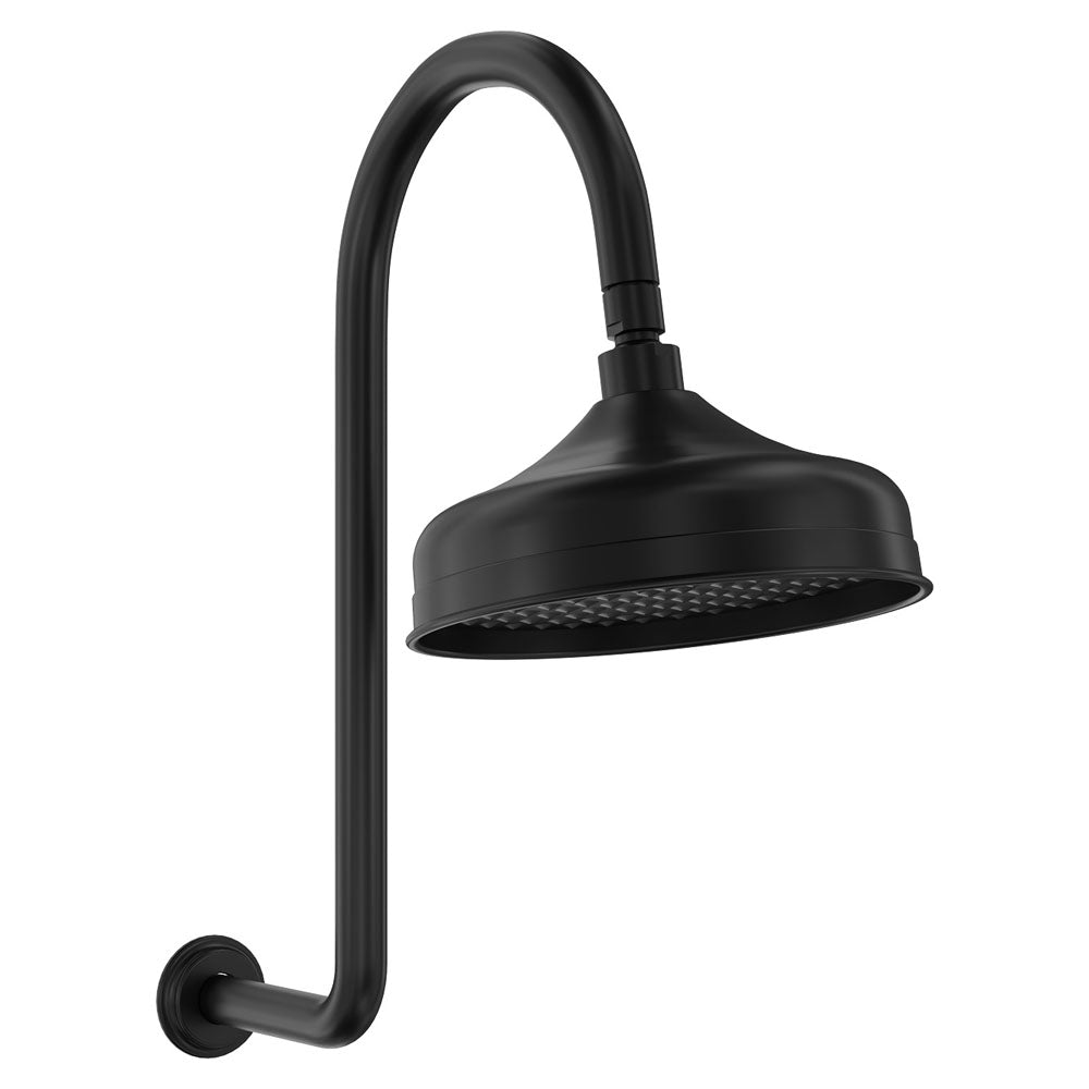 Fienza Lillian Wall Arm Shower Set - Matte Black - 411138B-A