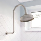 Fienza Lillian Wall Arm Shower Set - Brushed Nickel - 411138BN-A