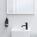 Clark Round Pin Basin Mixer - Matte Black