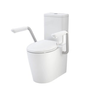 Caroma 660 Cleanflush WFCC Easy Height Suite with Armrests and double Flap Seat