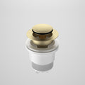 Caroma Urbane II Bath Pop-Up Plug & Waste | Brushed Brass