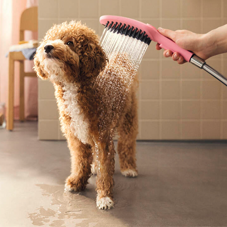 Hansgrohe Dog Hand Shower 150 3 Jet Select - Matte Pink - 26640560