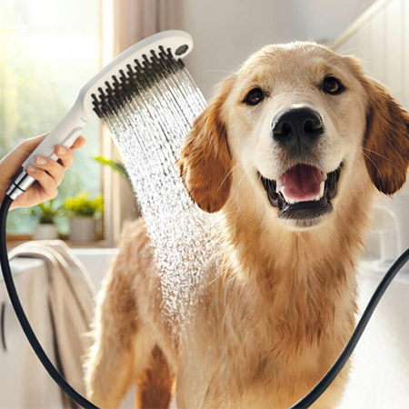 Hansgrohe Dog Hand Shower 150 3 Jet Select - Matte White