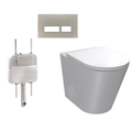 Parisi Linfa PN770 Rimless Floor Mount Package with Blade Satin Flush Plate - PN770 + PA110 + PA233