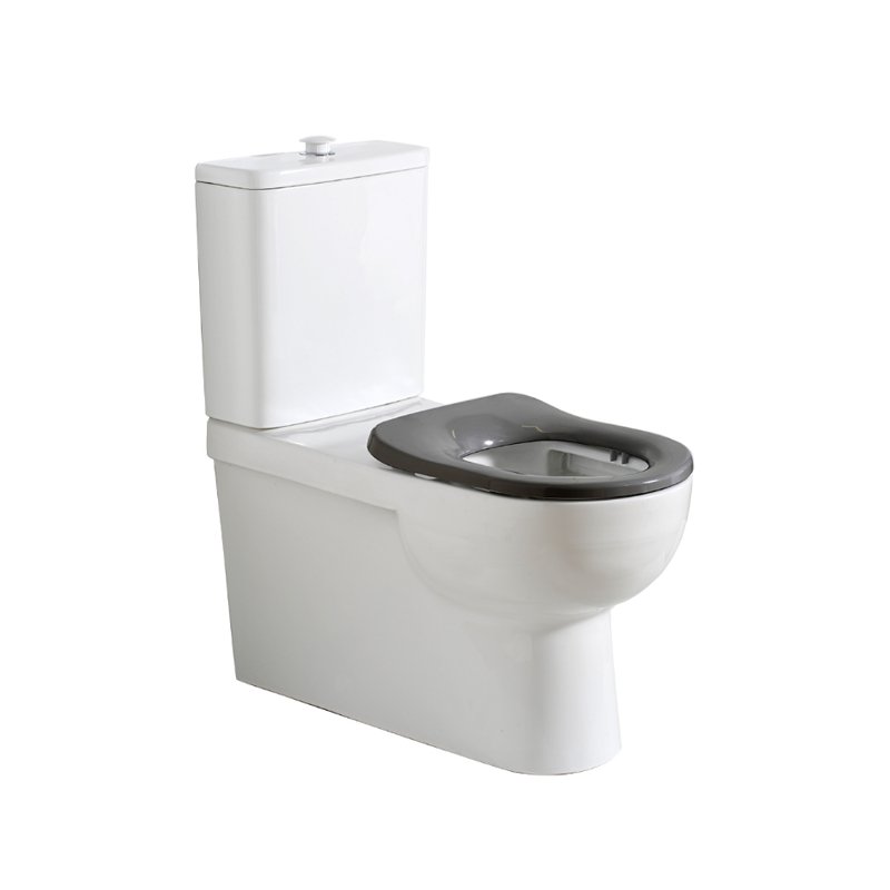 Argent Alto Plus PWD Back to Wall Toilet - Cass Brothers