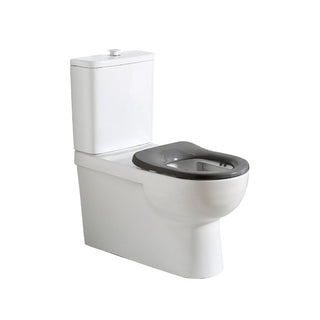 Argent Alto Plus PWD Back to Wall Toilet - Cass Brothers