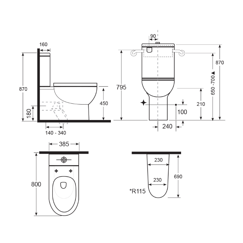 Argent Alto Plus PWD Back to Wall Toilet & Backrest - Cass Brothers