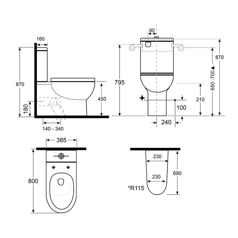 Argent Alto Plus PWD Back To Wall Toilet - S&P Trap, Bottom Entry with Backrest - Cass Brothers