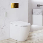 Argent Evo Wall Faced Smart Toilet Package Includes Grace Brushed Gold Button - Cass Brothers