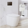 Argent Evo Wall Faced Smart Toilet Package Includes Grace Gun Metal Button - Cass Brothers