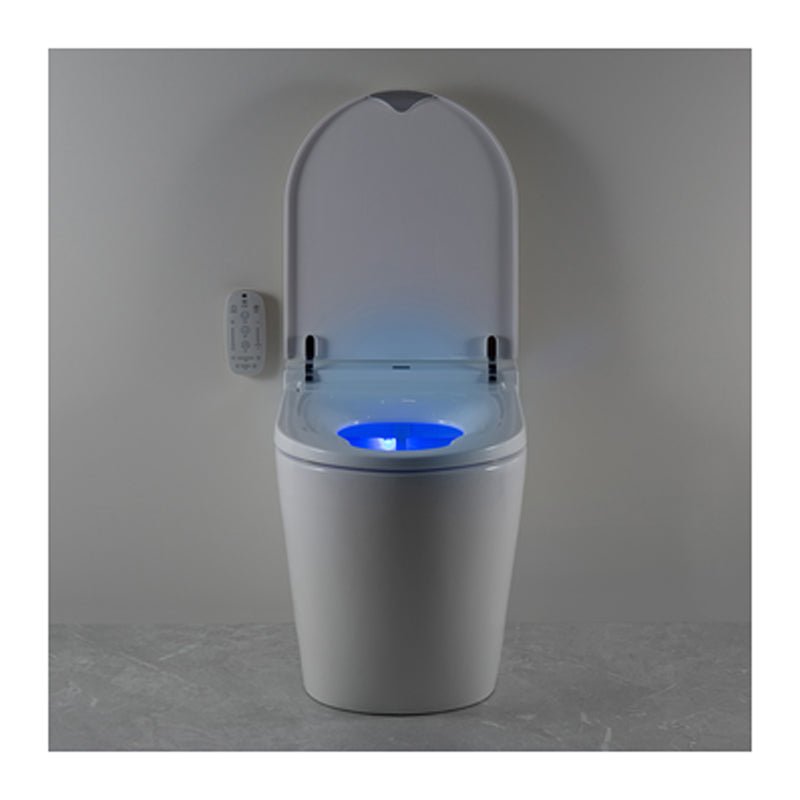 Argent Evo Wall Faced Smart Toilet Package Includes Grace White Button - Cass Brothers