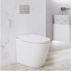 Argent Evo Wall Faced Smart Toilet Package Includes Kubic Brushed Nickel Button - Cass Brothers