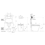 Argent Evo Wall Faced Smart Toilet Package Includes Kubic White Button - Cass Brothers