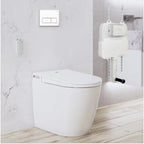 Argent Evo Wall Faced Smart Toilet Package Includes Kubic White Button - Cass Brothers