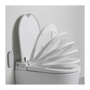 Argent Evo Wall Faced Smart Toilet System Package - Cass Brothers