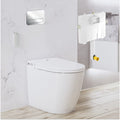Argent Evo Wall Faced ViSmart Toilet Package Includes Chrome E200 Button - Cass Brothers