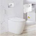 Argent Evo Wall Faced ViSmart Toilet Package Includes E100 Chrome Button - Cass Brothers