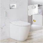 Argent Evo Wall Faced ViSmart Toilet Package Includes E100 Chrome Button - Cass Brothers