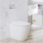 Argent Evo Wall Faced ViSmart Toilet Package Includes E100 Satin Button - Cass Brothers