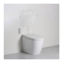 Argent Evo Wall Faced ViSmart Toilet Package Includes E100 Satin Button - Cass Brothers