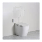 Argent Evo Wall Faced ViSmart Toilet Package Includes E100 White Button - Cass Brothers