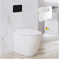 Argent Evo Wall Faced ViSmart Toilet Package Includes Matte Black E200 Button - Cass Brothers