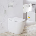 Argent Evo Wall Faced ViSmart Toilet Package Includes Satin E200 Button - Cass Brothers
